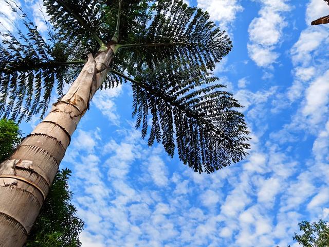 云南旅游：难忘九到昆明走马观花行（图）