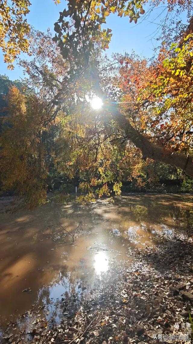 秋染浙西,邂逅烂柯仙境的绝美风光!