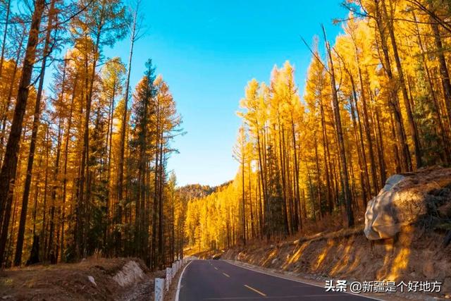 秋季的阿禾公路，你走过了吗？