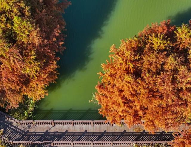 超出片！在这里一键解锁限定杉色
