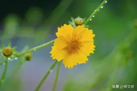 记住这三招，远离焦虑和紧张！图片