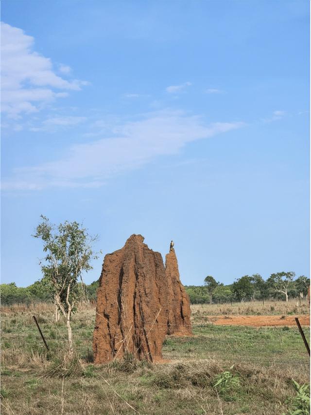 【异域风情】李后强：澳洲的“达尔文金字塔”