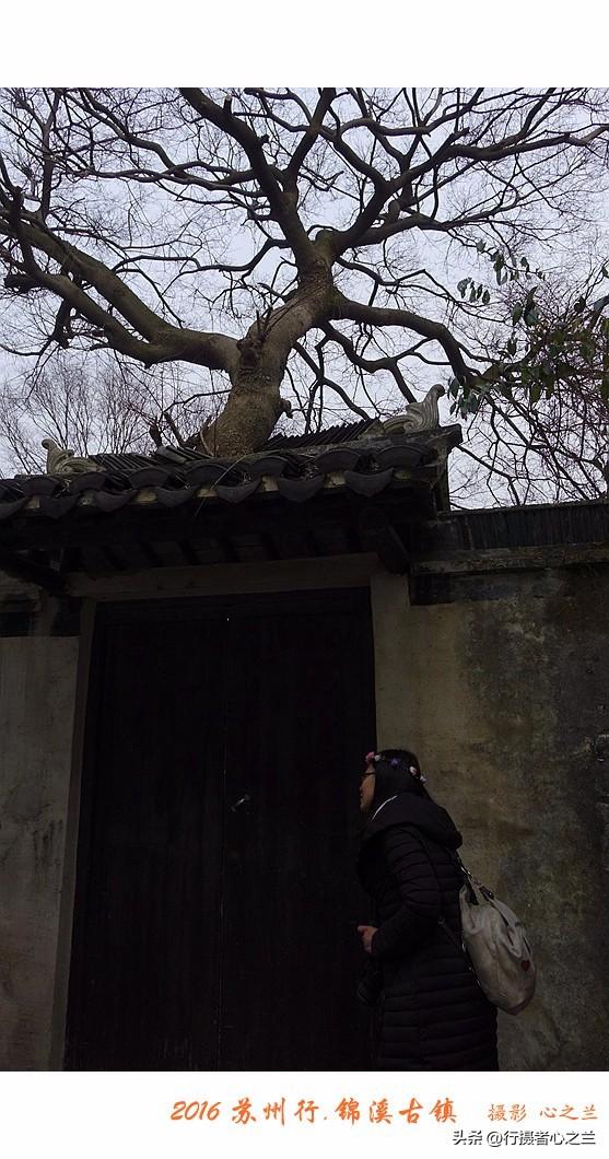 江南古镇行游影记（42）—锦溪古镇（九）