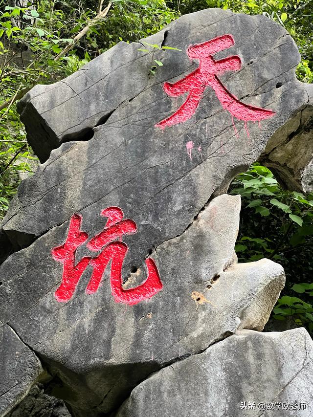 孩子初中三年不玩手机，就能领先大部分同学，老教师就是这个观点