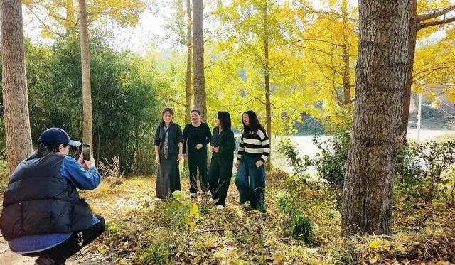 限定秋色！孝昌小悟千年银杏美出圈