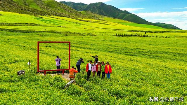 张掖民乐：祁连山下万亩油菜花开引客来