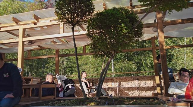 郁郁银杏无非般若，青青溪石尽是法身：宜春南惹古村印象（聂朋