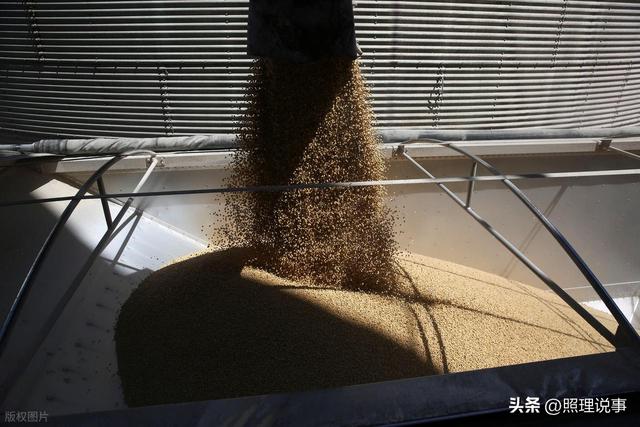 川普最后时刻求援，盼我国多购美大豆，那凭啥高端芯片不卖给我国