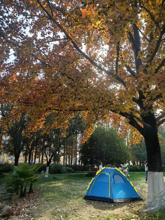 4个点位已公布！太仓人拍照请抓紧