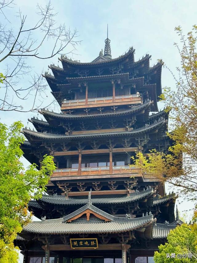 一键get森系大片！半山国家森林公园吸氧徒步全攻略