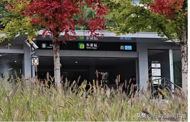 石家庄市城区赏秋最全指南，来啦！