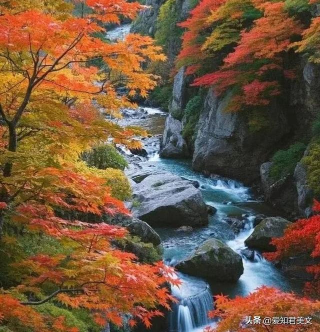 山林秋韵，心之回响