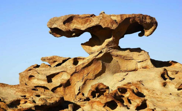 2026来阿拉善过大年｜属马 / 姓马专属优待，@你“马”上享受优惠