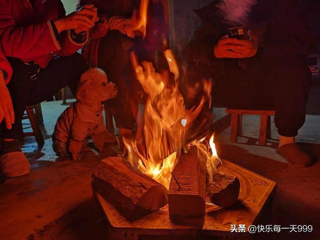 “最怕三九晴又暖” 今年三九太反常 连续晴天，有啥预兆？农谚咋说