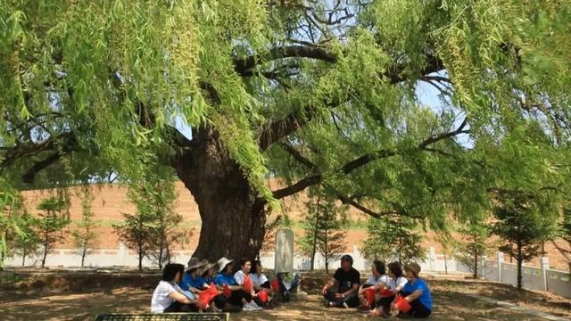 让信仰的种子萌芽!全家一起出发吉林红!