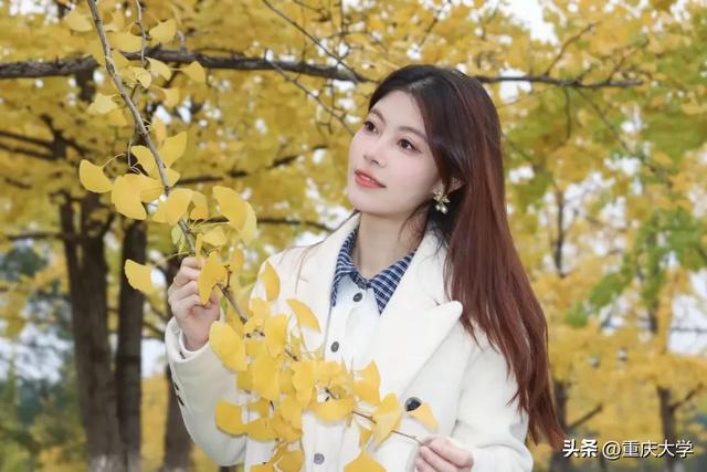 重大限定皮肤上新，超出片！🤳