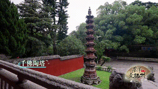 《老单走福州》第二季上线！这一站，鼓山！