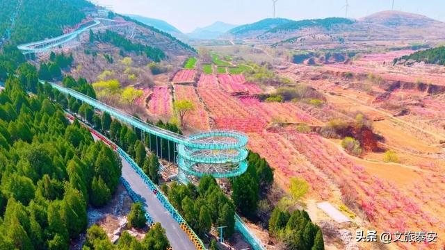 距离泰安不到1h，从春秋古镇到机甲登山，更有日销4000单的非遗美食…超强攻略→