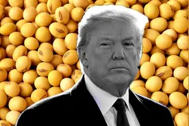 特朗普想让中国买大豆，沉默11天后，对华发起新制裁图片