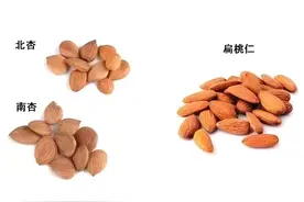 杏仁的营养价值、功效作用、食用方法及食用禁忌图片