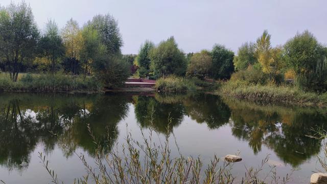 来乌兰察布的第二天 ，去了博物馆，植物园，白泉山公园，古城没去