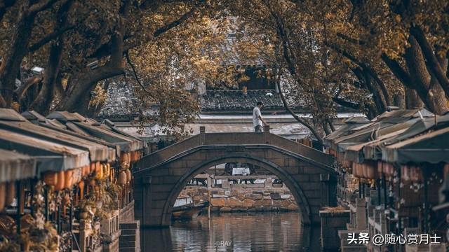 拼命打拼，只为活成“普通人”？到底人生啥意思啊