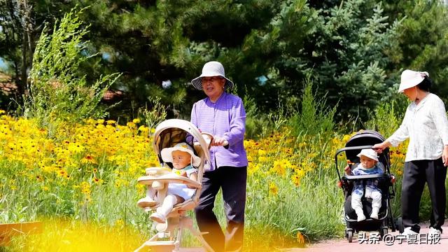 宁报视点 | 避暑之旅，选宁夏就对了！
