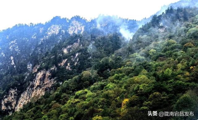 烟雨官鹅：国庆里的一轴流动水墨