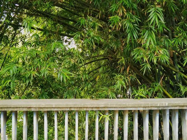 “若得一日闲 山中品千年” 游泉州清源山