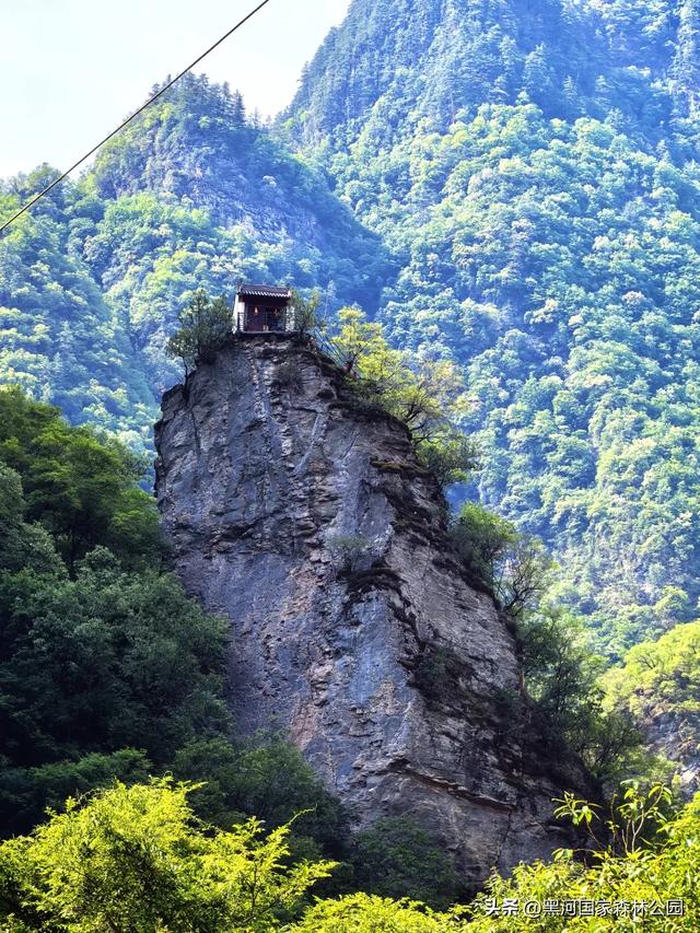 西安人的夏日消暑指南,黑河的清凉山水比空调更治愈→