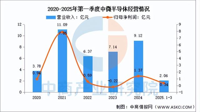 2025年中国MCU行业市场前景预测研究报告（简版）