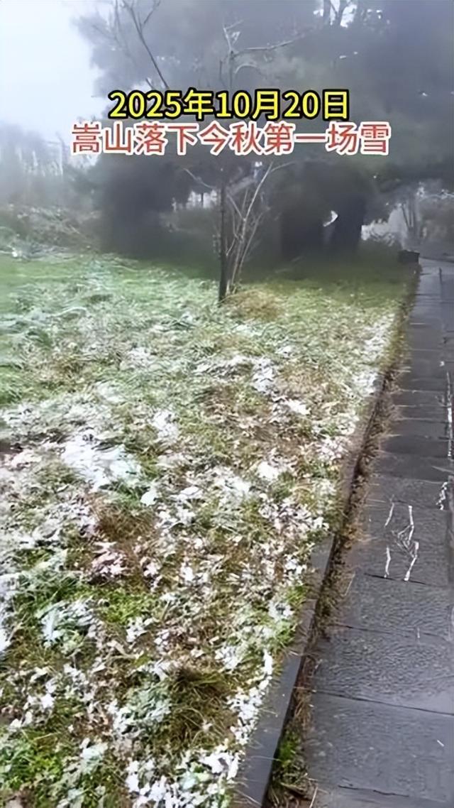 湖北也下雪了！武当山迎来今秋第一场降雪