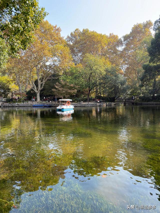 沿着鲁迅的足迹，赏上海秋日美景