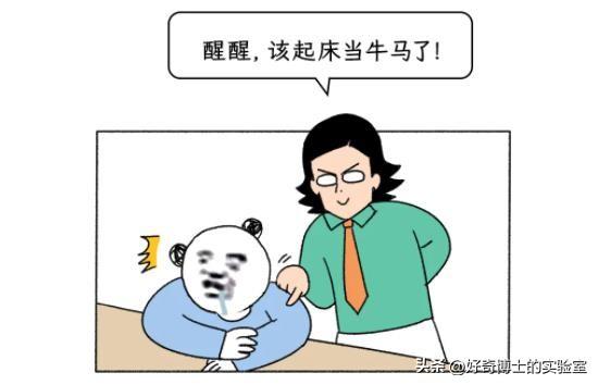 从一星级、二星级，到五星级、七星级酒店，究竟有啥区别？