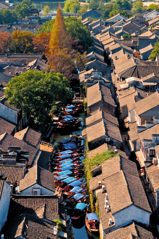 初冬周Walk丨暖洋洋，慢慢游