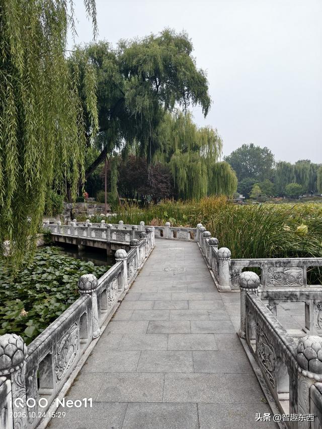 2K屏同档高配！ 双芯iQOO Neo11电竞手机初体验