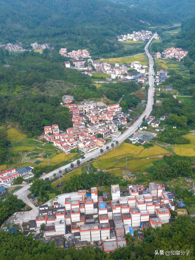 肇庆这里藏着“梯田胜境”,美得不像话!