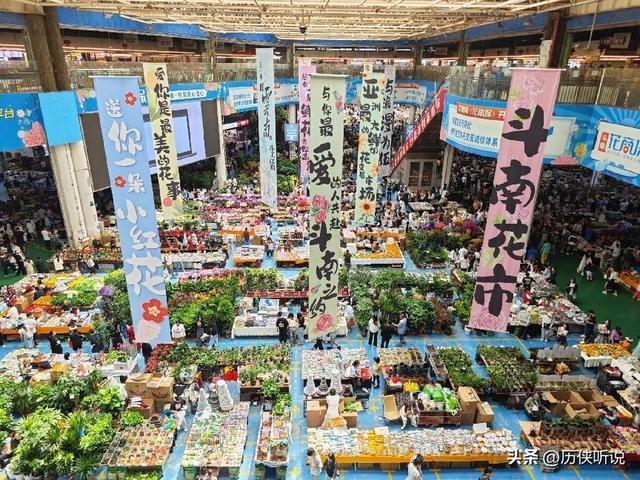 外国人最爱中国哪里？不是上海不是广东，这个省37万老外赖着不走