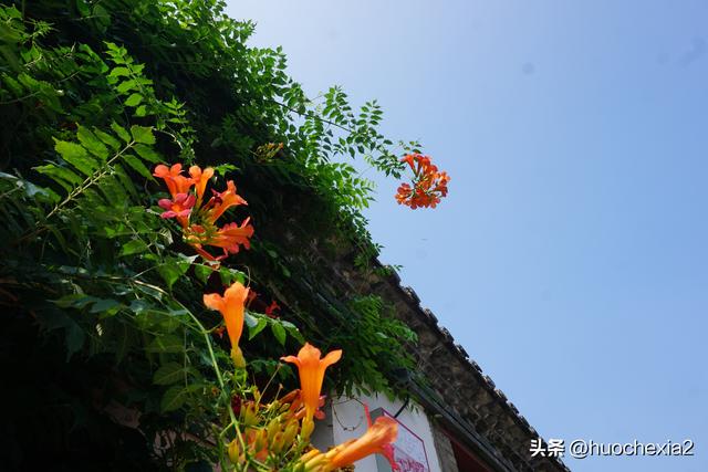 坐着高铁去看海（11）——烟台所城里历史街区