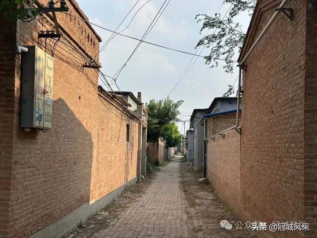 冠县乡韵·辛集镇丁刘八寨