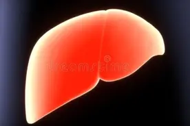 指甲凹凸不平、有竖条纹，多是肝脏亮起“红灯”，趁早预防图片