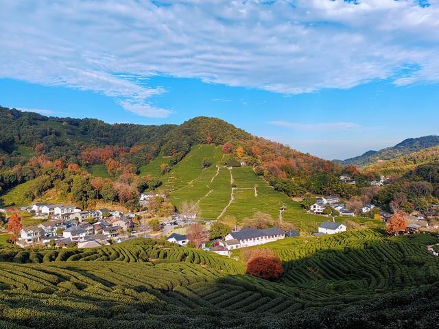 浙江深秋封神路线！红叶、银杏、古寺藏禅，承包江南最绝秋景！
