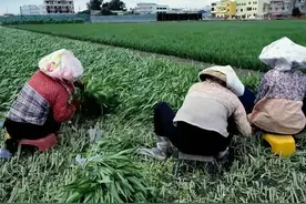 农民的“苦日子”来了！2024年老百姓越来越难！图片