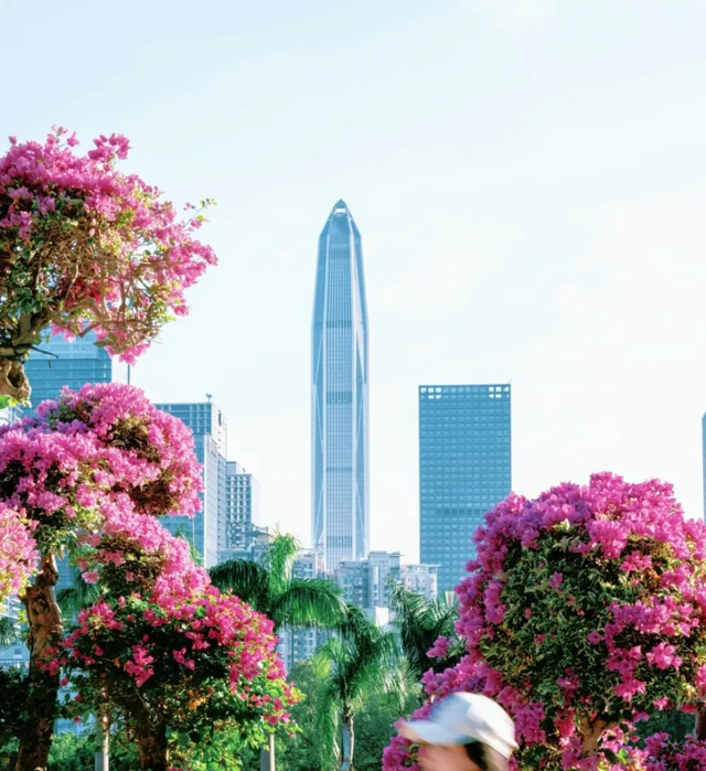 最近，不少深圳人都在捡！发图狂晒战绩，“有一种寻宝的感觉”