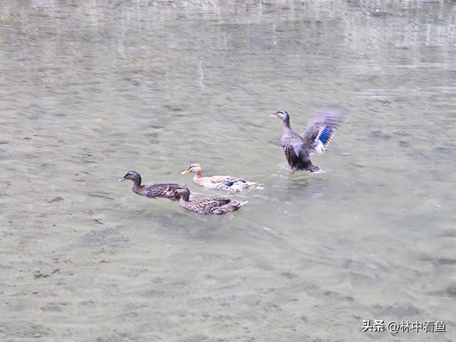 过周日找寻山水景，遇免费畅游通天峡——山西平顺通天峡游记