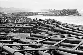 太阳能板被摧毁，台风揭开民进党“绿能谎言”图片