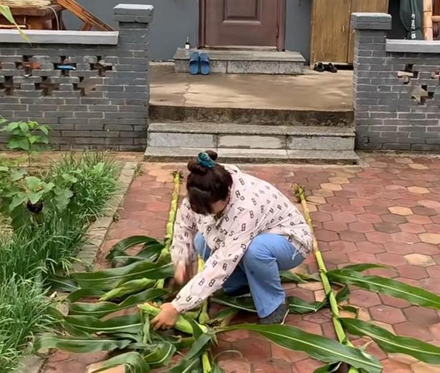 女子晒自己种的“玉米”，爬梯子才能摘，网友：没点身手都不敢种