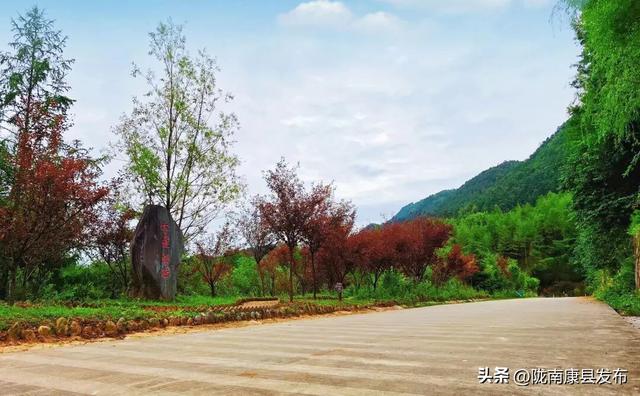 康县：精心管护提品质，整洁靓丽展颜值