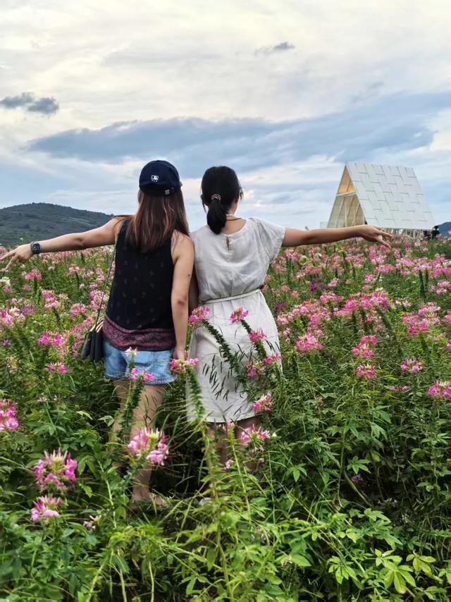 桂林：漓畔花海莲花源！