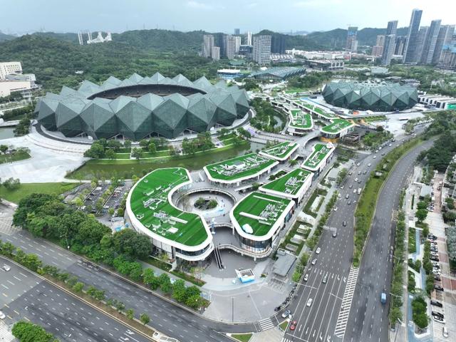 官方推介！龙岗7条特色「Citywalk线路」来了～